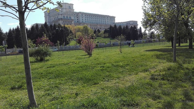 Palatul Parlamentului din București, unde își are sediul Curtea Constituțională